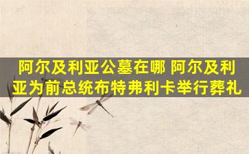 阿尔及利亚公墓在哪 阿尔及利亚为前总统布特弗利卡举行葬礼